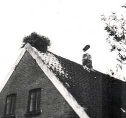 Storken på Jesperhus, Trommelholtvej 6 A i 1938
